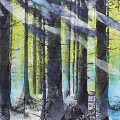 leichte_brise_20131031_1982705307